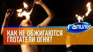 Галилео 🔥 Как не обжигаются глотатели огня?