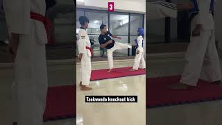 Taekwondo knockout kick tutorial #shortsvideo #ytshorts #viral #devtkd