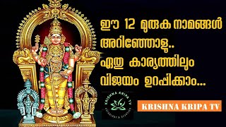 ഈ 12 മുരുക മന്ത്രങ്ങൾ ജപിച്ചോളൂ.. സർവകാര്യ  വിജയം ഉറപ്പിക്കാം