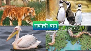 Ranichi Baug Mumbai | Veermata Jijabai Bhonsale Udyan | राणीची बाग मुंबई | Byculla Zoo Park