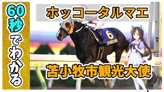 ホッコータルマエってどんな馬？1分で解説 【競馬】【ウマ娘プリティーダービー】