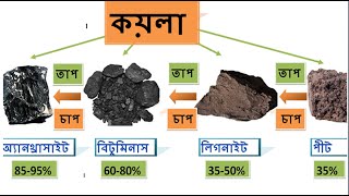 কয়লার শ্রেণীবিভাগ  ।  Classification of coal. । Type of coal ।  কোল l  type of coal and their uses