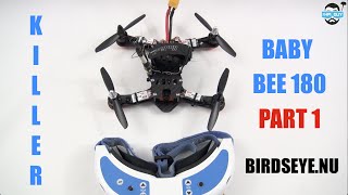 HPIGUY | Killer Baby BEE 180 MiniQuad Part1