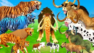 10 Big Bull vs 10 Monster Lion Mammoth vs 10 Zombie Tiger Wolf Attack Cow Buffalo Rescue By Mammoth