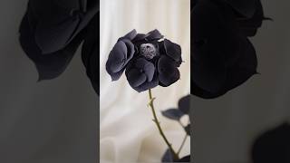 Top 6 best beautiful black flowers #black flowers