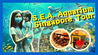 S.E.A. Aquarium Singapore Tour｜Largest LEGO Certified Store In Southeast Asia｜Sentosa｜新加坡 聖淘沙 海洋館