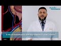 Dr Janan Al Najjar on Urinary Stones and When to meet a doctor