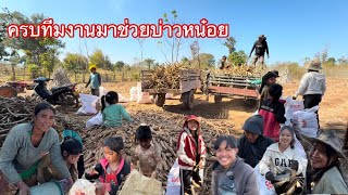 ทีมงานอินดี้รวมตัวกันไปช่วยบ่าวหน๋อยขุดมันครบทุกคนจะได้เสร็จไวไว|ທີມງານອິນດີ້ລວມໂຕໄປຊ່ອຍບ່າວຫນ໋ອຍ