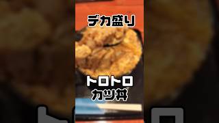 デカ盛りの聖地 トロトロカツ丼がたまんねー 男飯 種類もいっぱいあるよ #グルメ #大阪 #ランチ