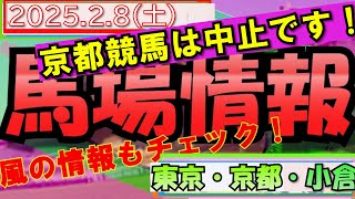 【馬場情報】2/8（土）の馬場情報。京都競馬は積雪で中止となりました。東京・小倉は強風☆風向きにご注意を☆