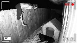 120 Incredible Moments Caught on CCTV Camera
