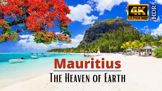 Travel Mauritius Islands in 4K Ultra HD Video by Drone View | The Heaven of Earth | Cinematic Tour