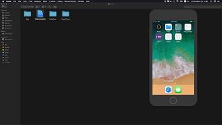 Completely rename an Xcode project