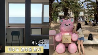 제주 일주일 살기 VLOG l 여행은 살아보는 거야 l 제주 여행 l 제주도 카페 투어 l 애월 맛집