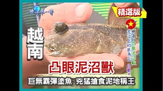 【越南】凸眼泥沼獸 兇猛搶食泥地稱王｜《世界第一等》482集精華版 #好家在我在家