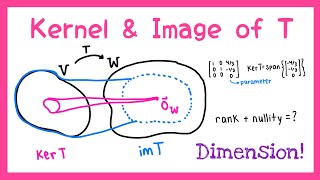 Kernel, Image & Dimension of Transformations Explained!
