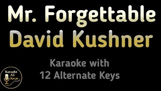 Mr. Forgettable Karaoke - David Kushner Instrumental Lower Higher Female Original Key