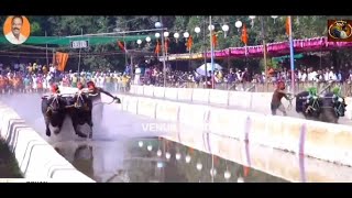 Adve Kambala Balluda Malla Semi Final Top Race | Kambala | #kambala