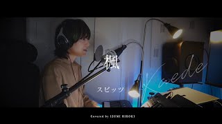 楓  / スピッツ(弾き語りcover) by IZUMI HIROKI