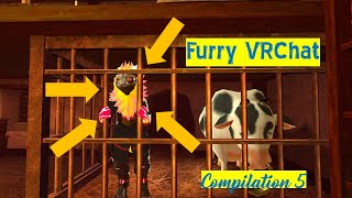 🐲Furry VRChat Compilation 5
