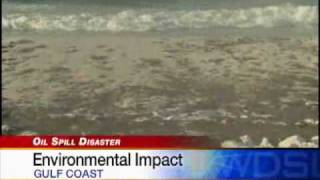 Oil Spill Environmental Impact