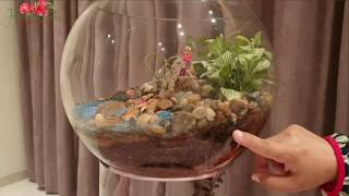 How To Make Terrariums -  دورة  “الغابات و الحدائق الزجاجية