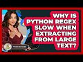 Why Is Python Regex Slow When Extracting From Large Text? - Python Code School