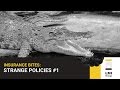 INSURANCE BITES: Strange Policies #1