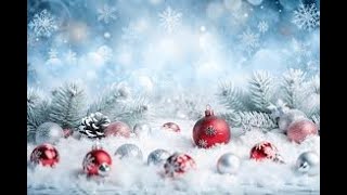 CCLee Holiday Program PM