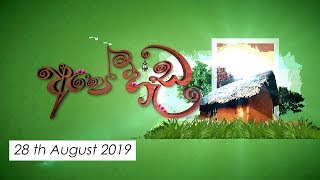 Ape Heda | 28th August 2019