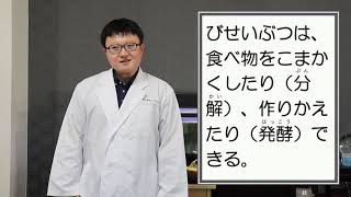 【ビッグバイオ】微生物の働き　有機物　分解　おもしろい　バチルス菌　納豆菌　はたらき　小学生【熊本県 宇城市】