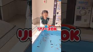 【ののと金魚すくい🐠】江ノ島で金魚すくい🐙　#子供　#こども　#女の子　#娘　#金魚すくい