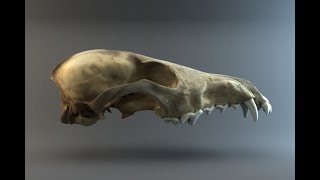 3D Scanning - Structured Light