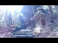 ⚠️貴重映像※熊野の山奥にある驚愕のパワースポットで神様のお姿を見れたら強運の持ち主。見逃したら二度とありません｜遠隔参拝100