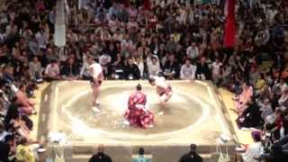 20140517 日馬富士  vs  遠藤 大相撲夏場所七日目