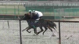 ペイントカフェ2014外マニーエクスプレス2014中リカセンス内　2016/3/30