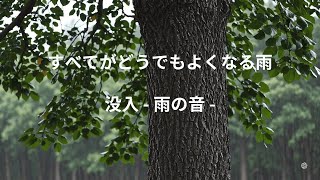 【自然音】すべてがどうでもよくなる雨の音でリラックスする１時間（勉強用／作業用／睡眠用）