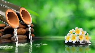 Fuente de bambú, Música relajante, Meditación, Música para dormir profundamente, Sonidos de agua