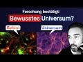 UNGLAUBLICHE Parallelen zwischen GEHIRN & UNIVERSUM 😲 Das Weltbild des analytischen Idealismus P.7