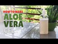 How To Make Aloe Vera Gel At Home