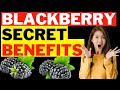 10 Health Benefits of Eating Blackberry Every Day