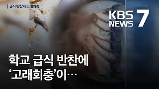 학교급식 반찬에 ‘고래회충’ 발견…‘경악’ / KBS뉴스(News)