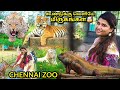 CHENNAI ZOO 2023💥| Arignar Anna Zoological park, vandalur, chennai zoo