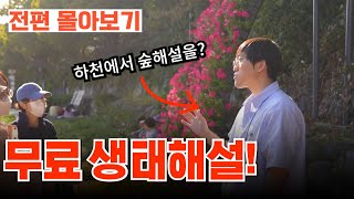 [전편 몰아보기] 무료해설! 숲해설가와 함께 생태하천으로 떠난다면?