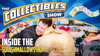 Squishmallows MANIA - The Cuddly Plush DOMINATING The Collectibles Makret