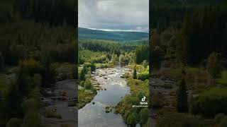 Otter Pools in the heart of the Galloway Forrest #shorts #Gallowayforrest #otterpools