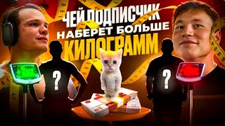 ЧЕЙ ПОДПИСЧИК НАБЕРЕТ БОЛЬШЕ КГ за 24 ЧАСА ПОЛУЧИТ 50.000 ₽ TATWOLE vs МИНИ ПЕККА (ПЕРЕЗАЛИВ.).