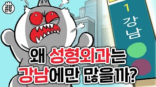 왜 성형외과는 유독 강남에 몰려있을까? │당신이 성형수술을 강남에서 할 수밖에 없는 이유