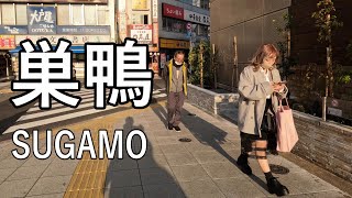 【4K】Walking in SUMAGO of Tokyo, town known as \