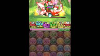 【パズドラ】紅の華龍 Sランクを狙う